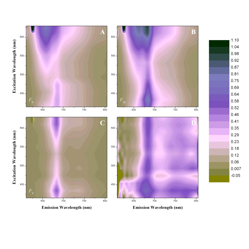 Excitation Emission Map Syn6803