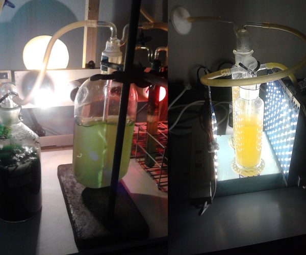 Photosynthesis Research Unit